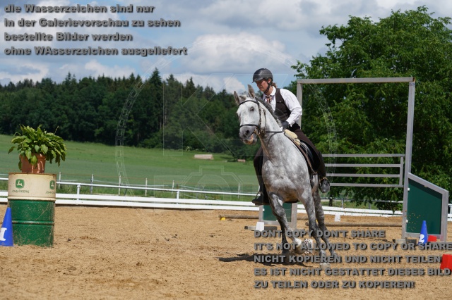s_K3F04556.JPG